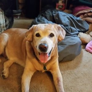 Meet your Posher, Bill